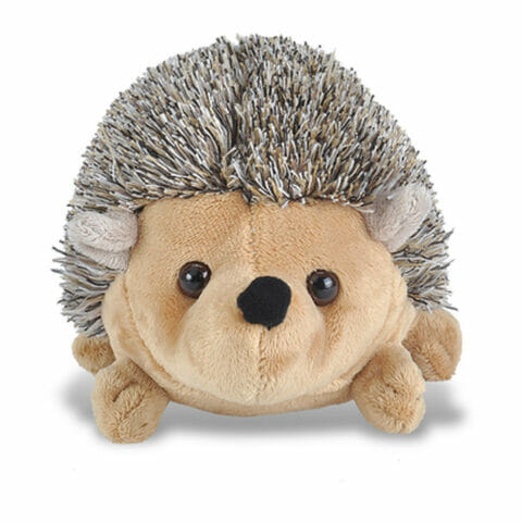 Hedgehog