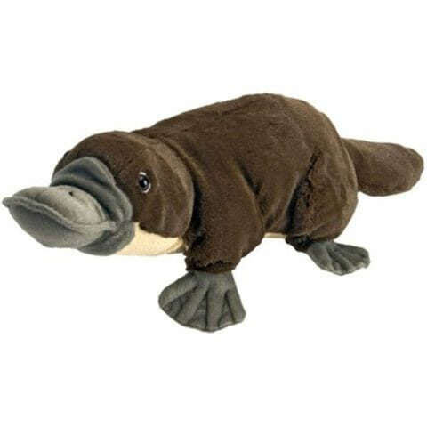 Platypus